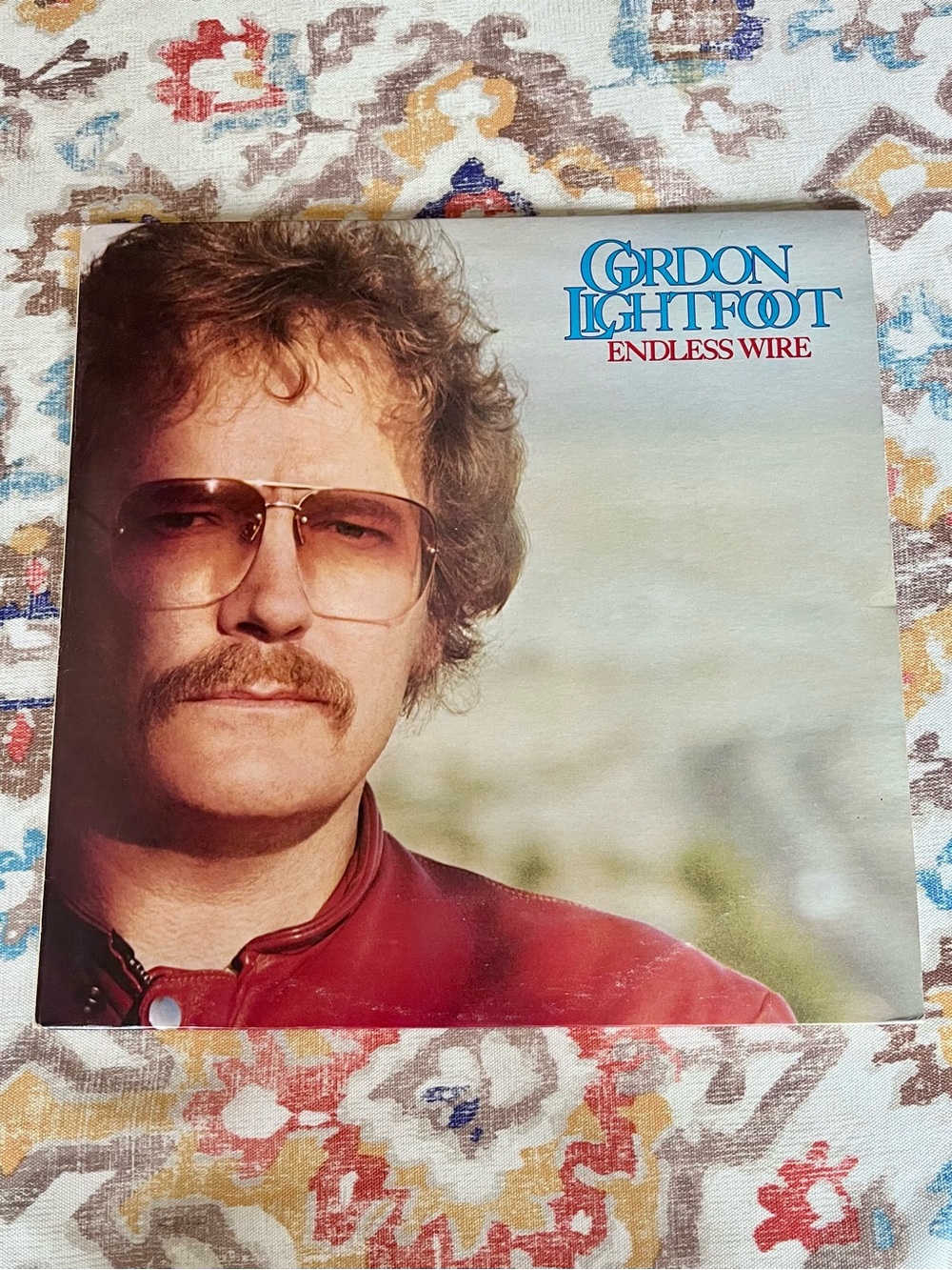 Vintage 1978 Warner Bros. Records Gordon Lightfoot "Endless Wire" Vinyl Record